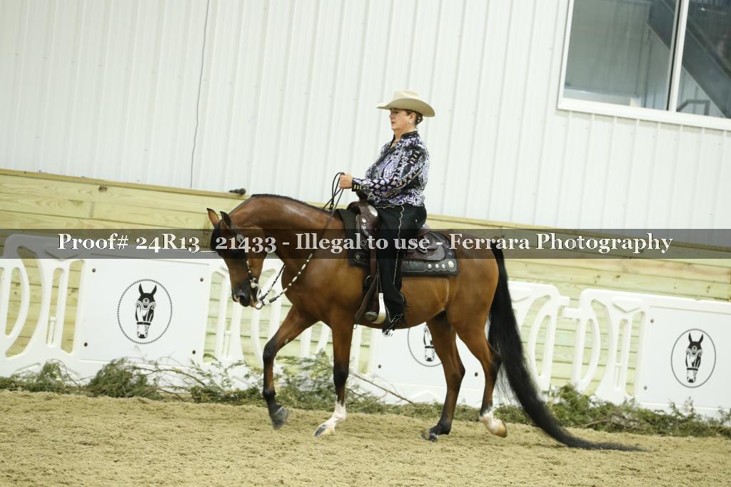 Proof 24R13_21433