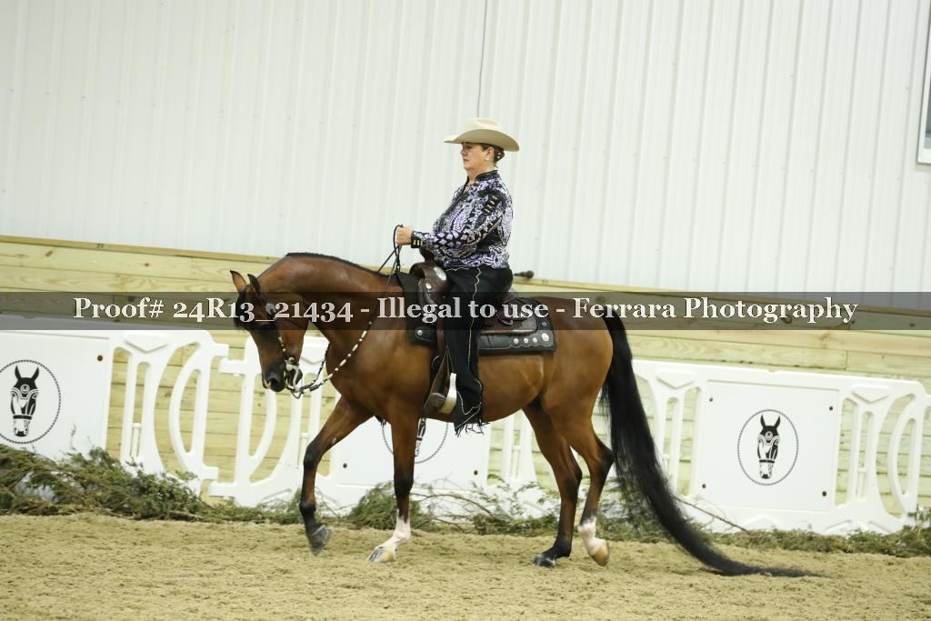 Proof 24R13_21434