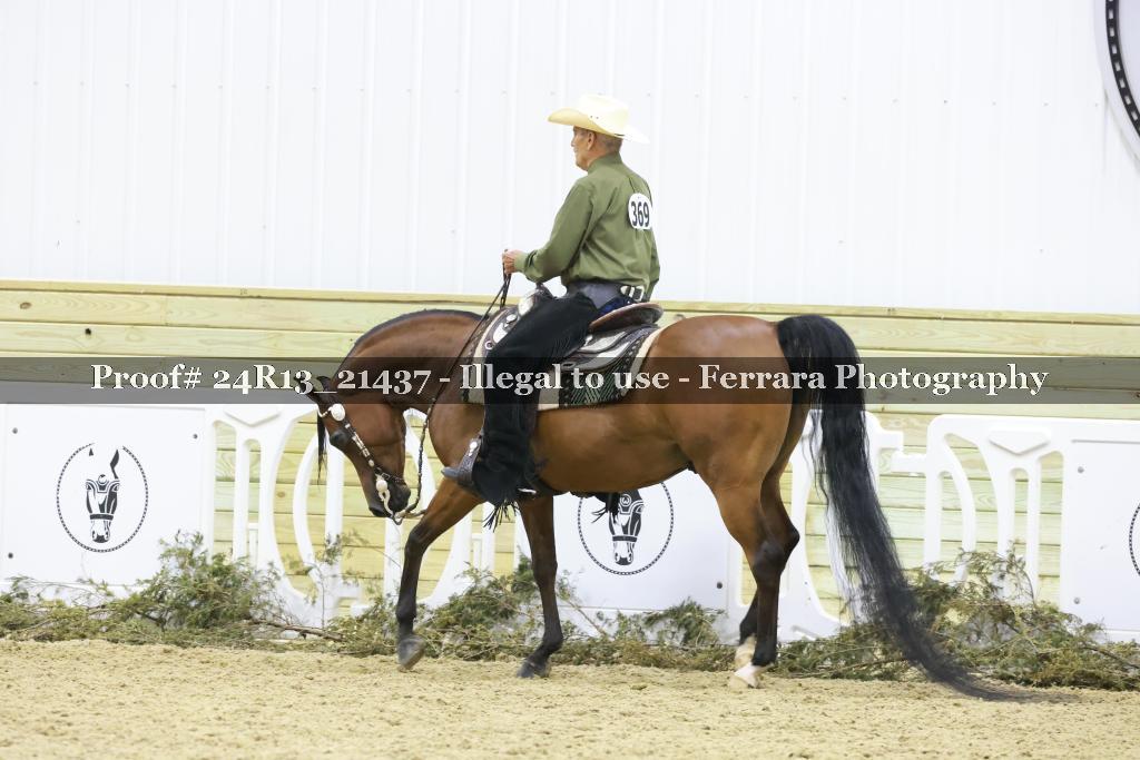 Proof 24R13_21437