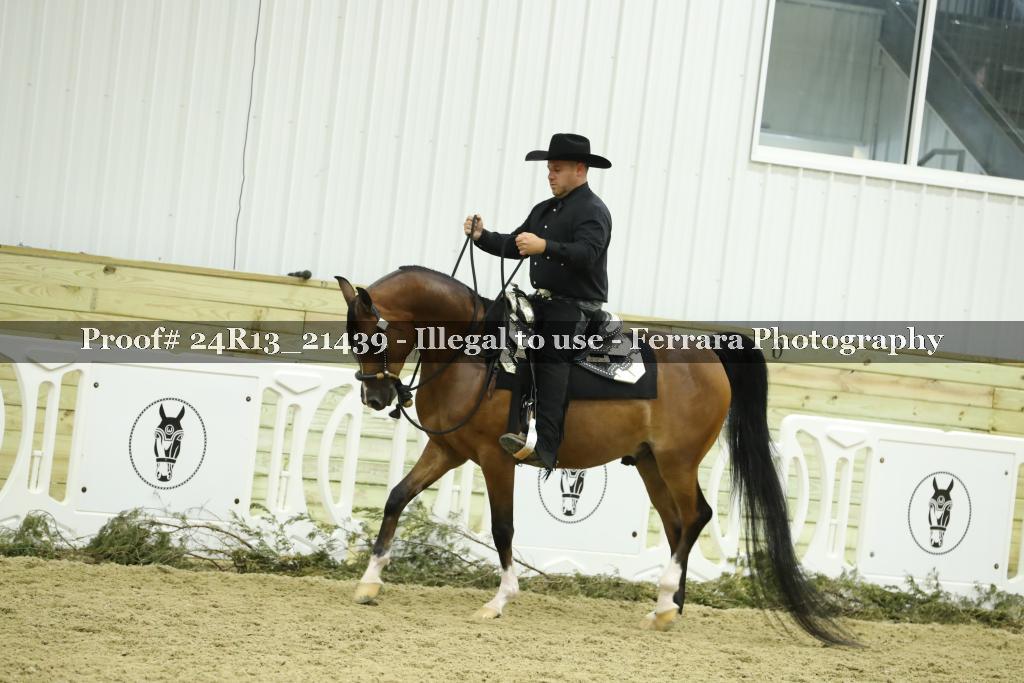 Proof 24R13_21439
