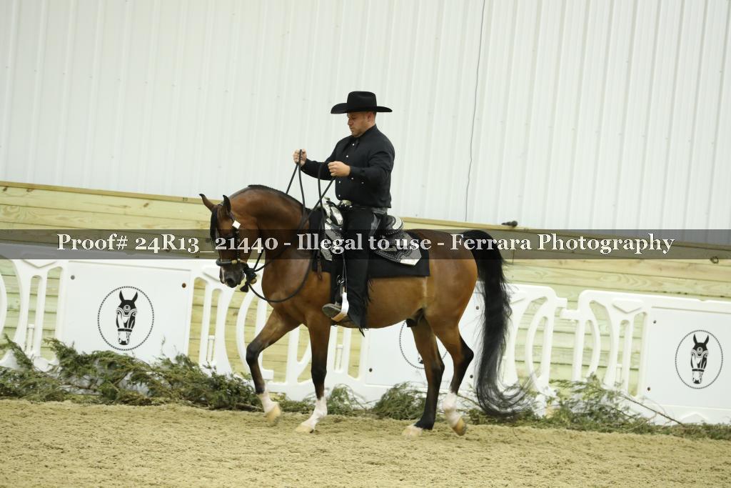 Proof 24R13_21440