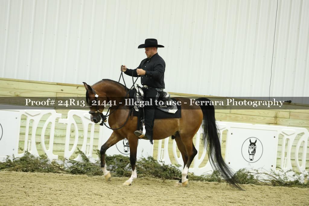 Proof 24R13_21441