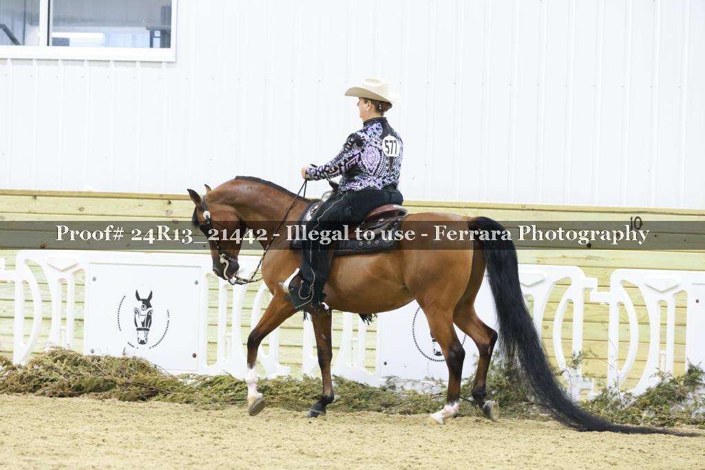 Proof 24R13_21442