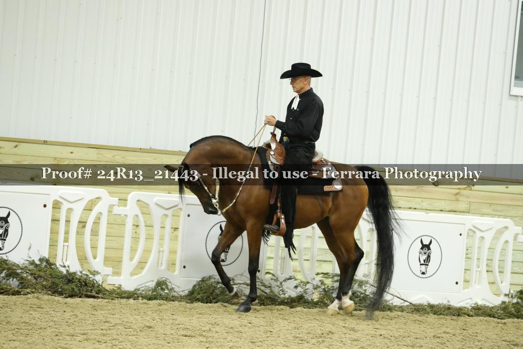 Proof 24R13_21443