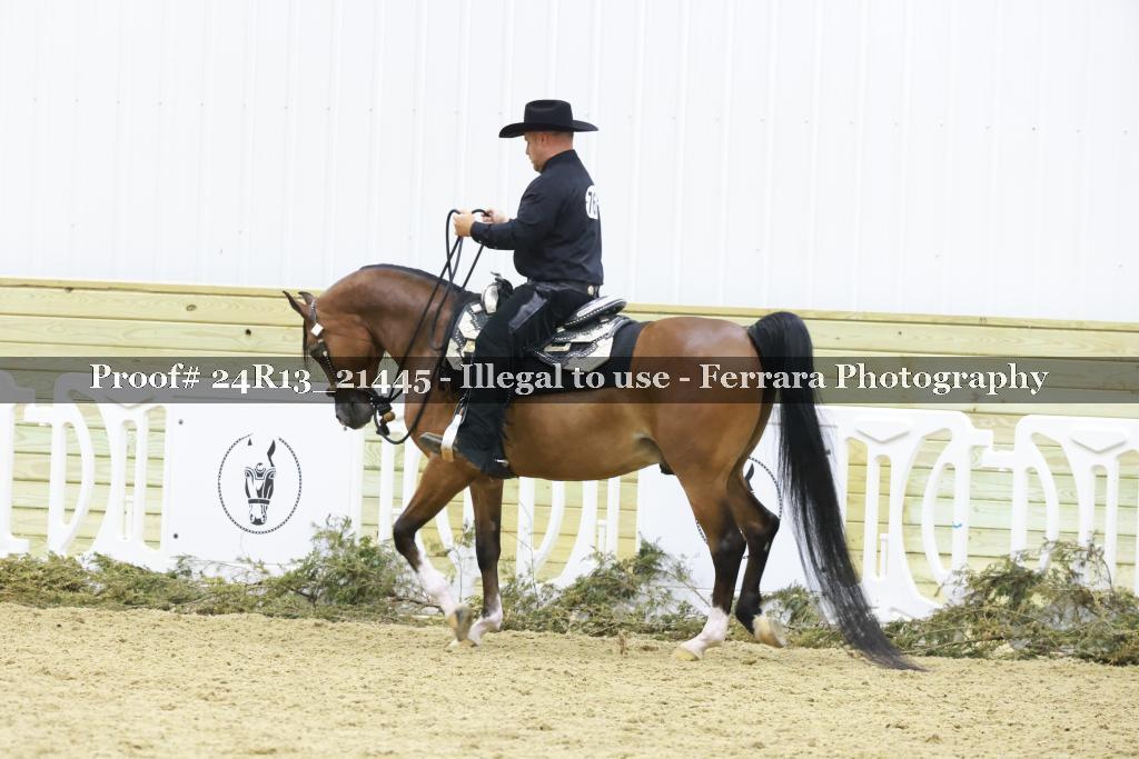 Proof 24R13_21445