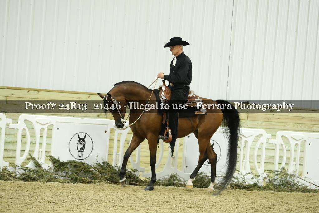 Proof 24R13_21446