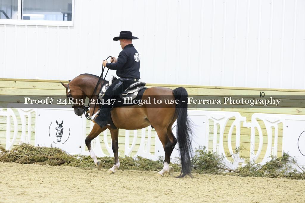 Proof 24R13_21447