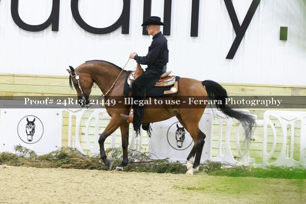 Proof 24R13_21449