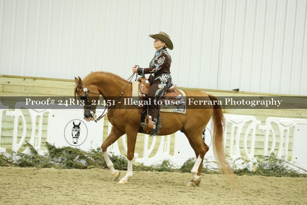 Proof 24R13_21451