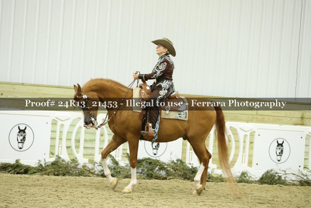 Proof 24R13_21453