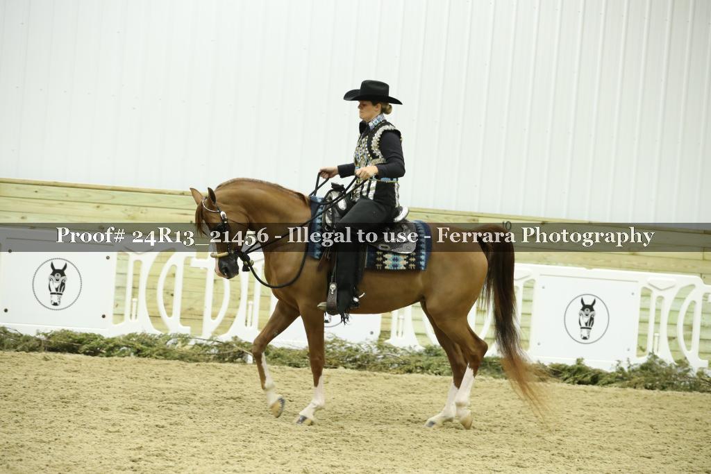 Proof 24R13_21456
