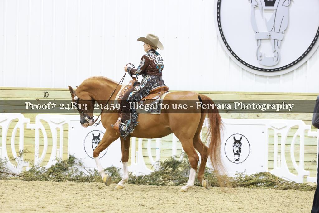 Proof 24R13_21459