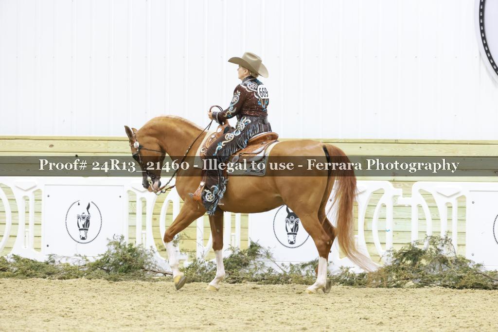 Proof 24R13_21460