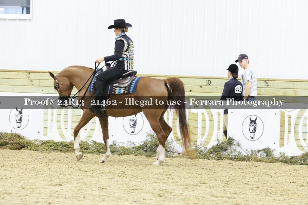 Proof 24R13_21462