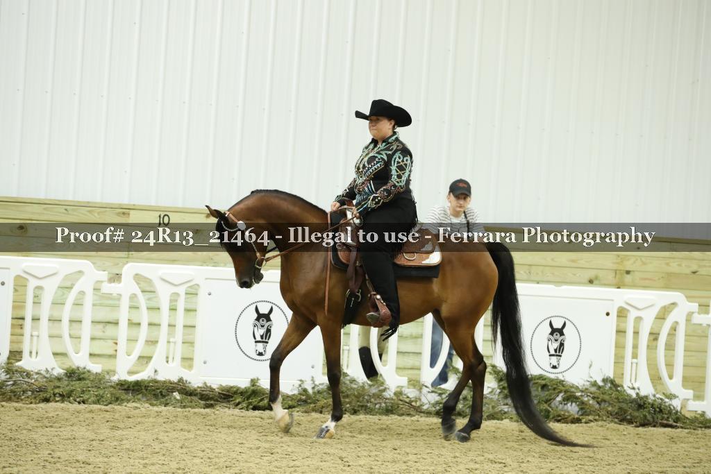 Proof 24R13_21464