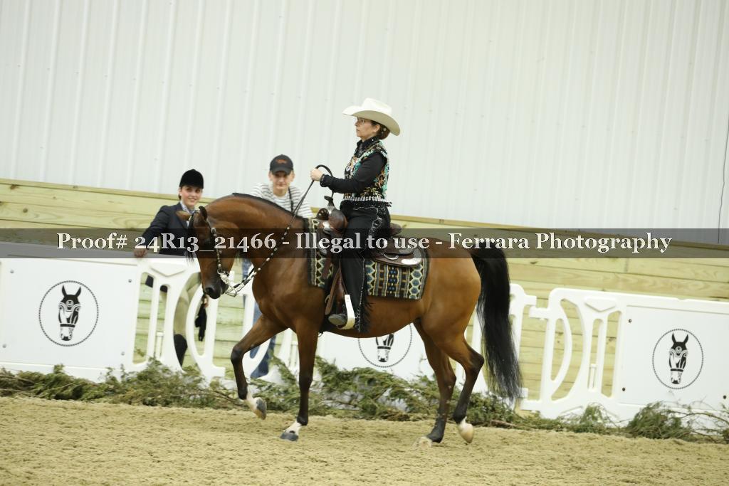 Proof 24R13_21466