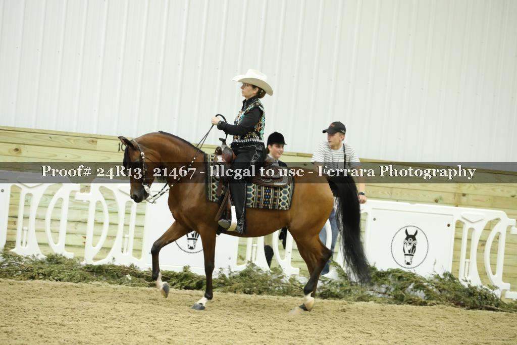 Proof 24R13_21467