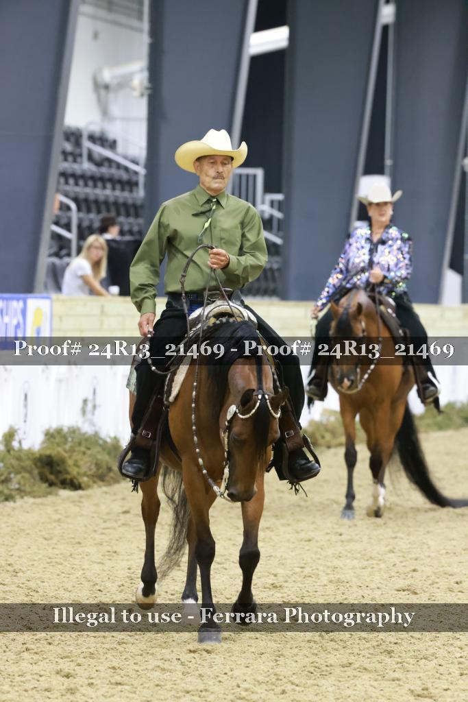 Proof 24R13_21469
