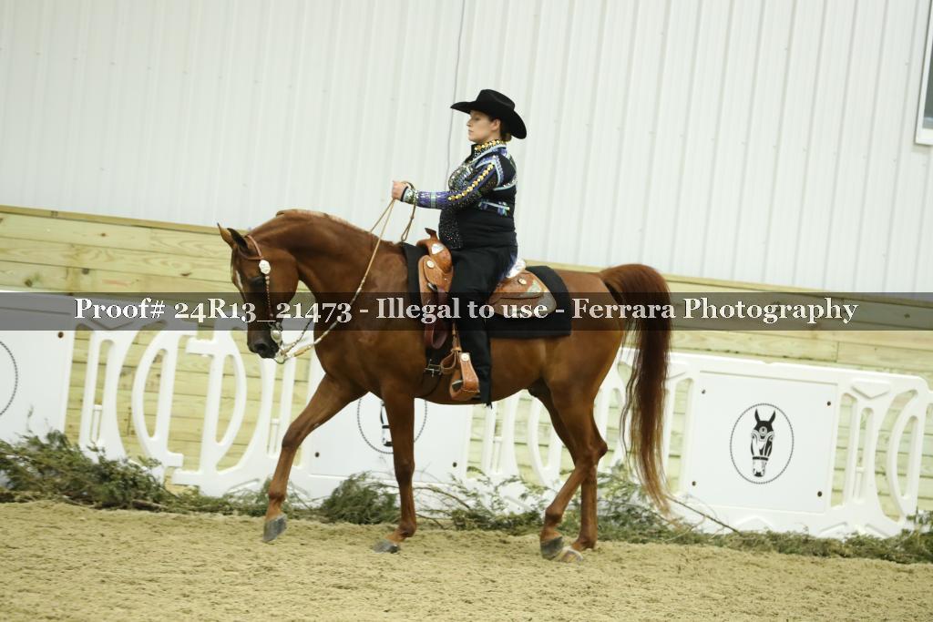 Proof 24R13_21473