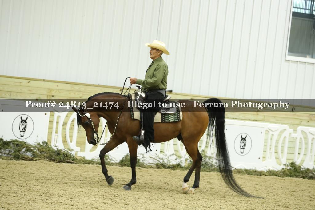 Proof 24R13_21474