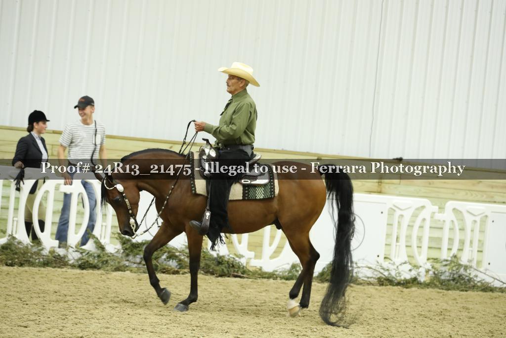 Proof 24R13_21475