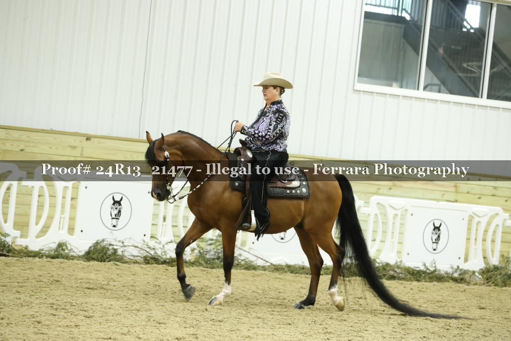 Proof 24R13_21477