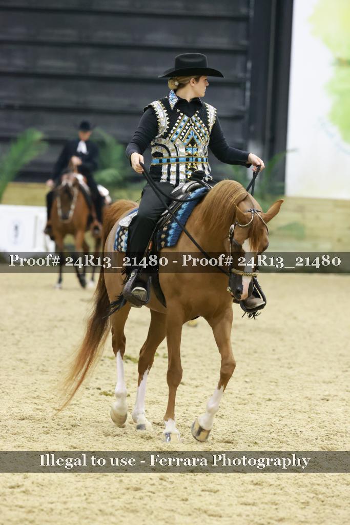 Proof 24R13_21480