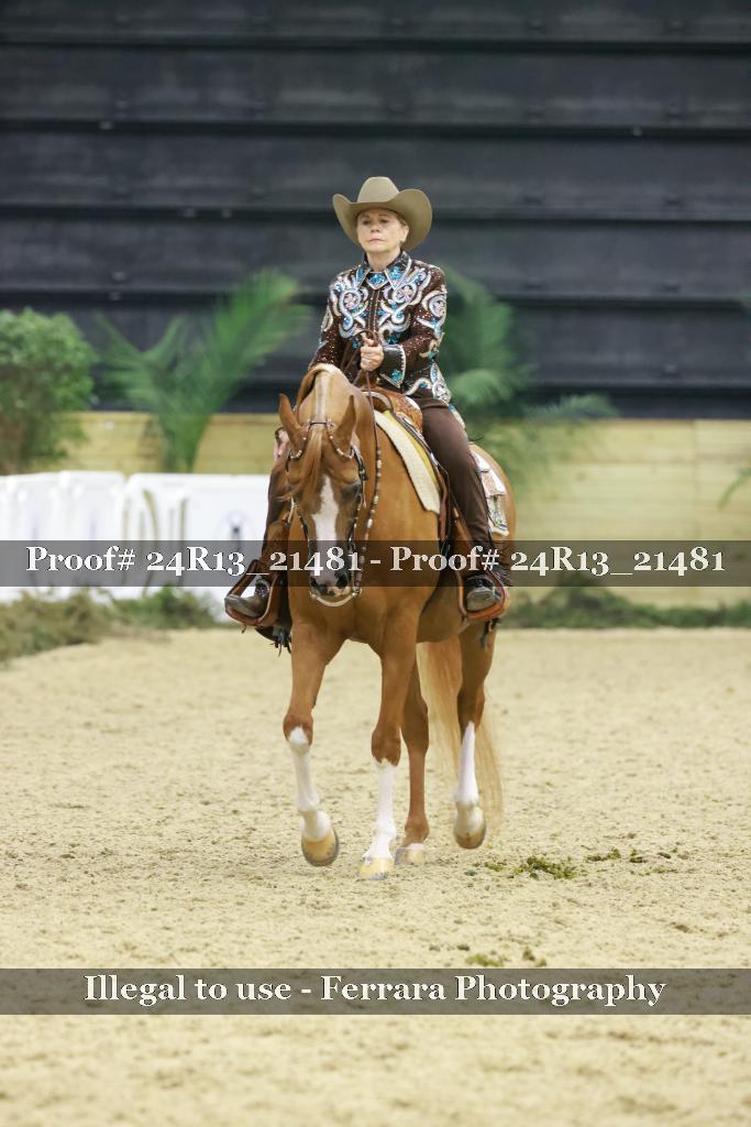 Proof 24R13_21481
