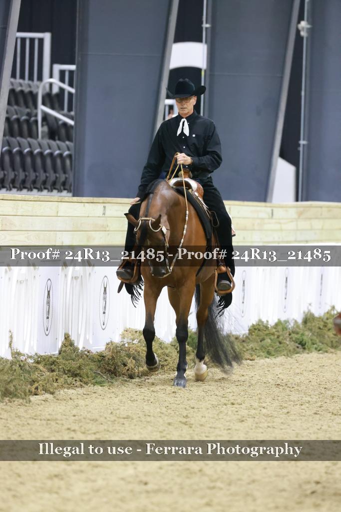 Proof 24R13_21485