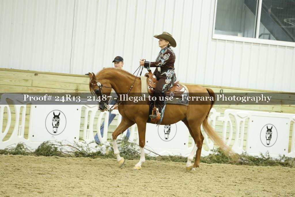 Proof 24R13_21487