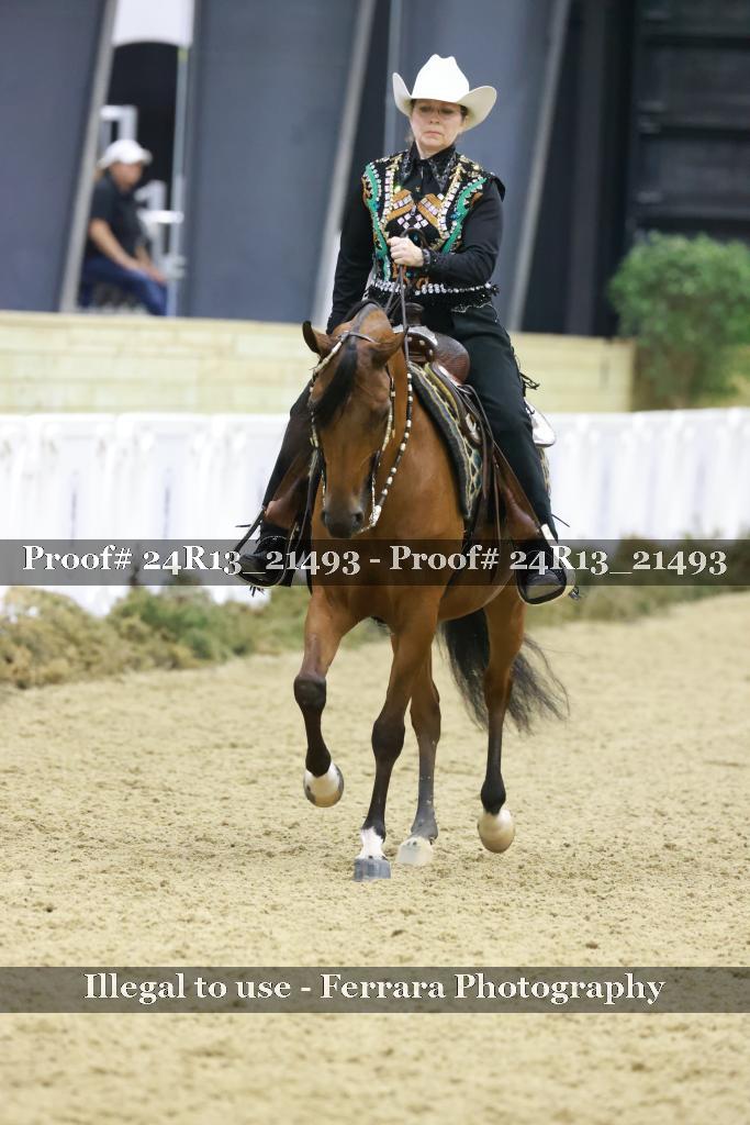 Proof 24R13_21493