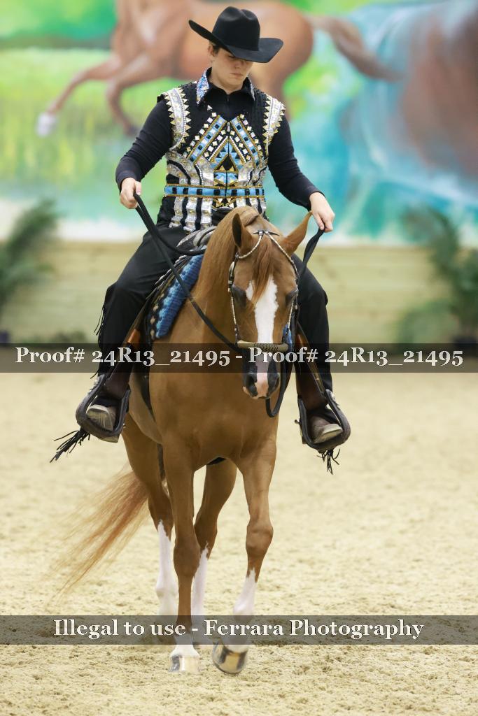 Proof 24R13_21495
