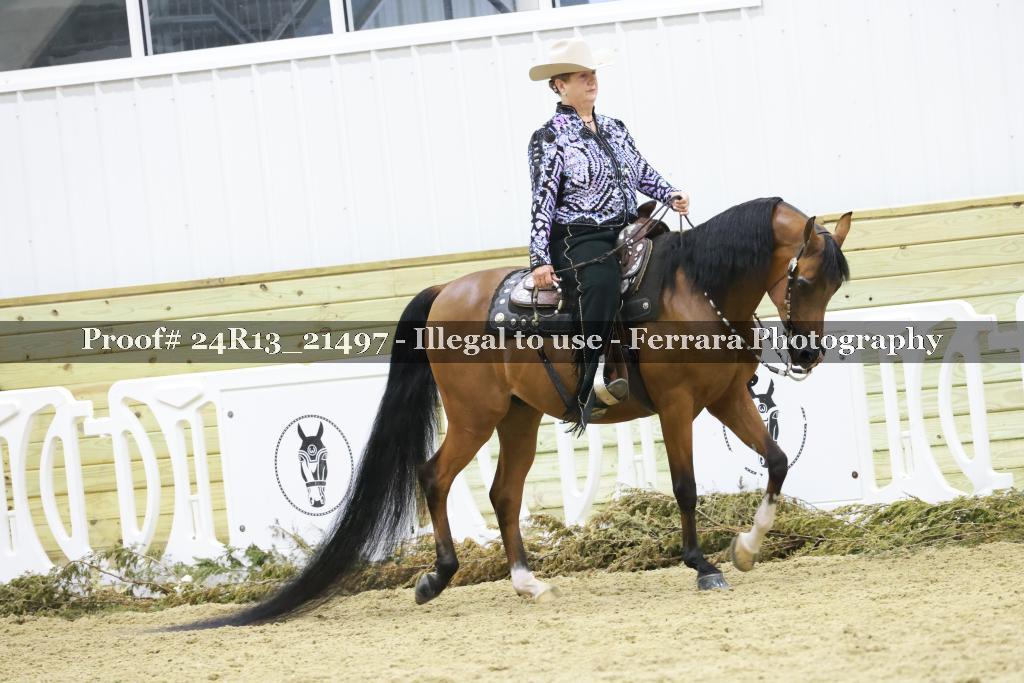 Proof 24R13_21497