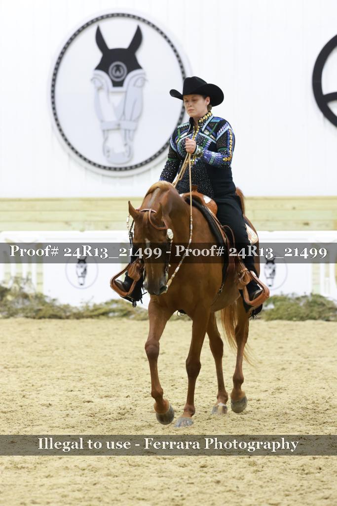 Proof 24R13_21499