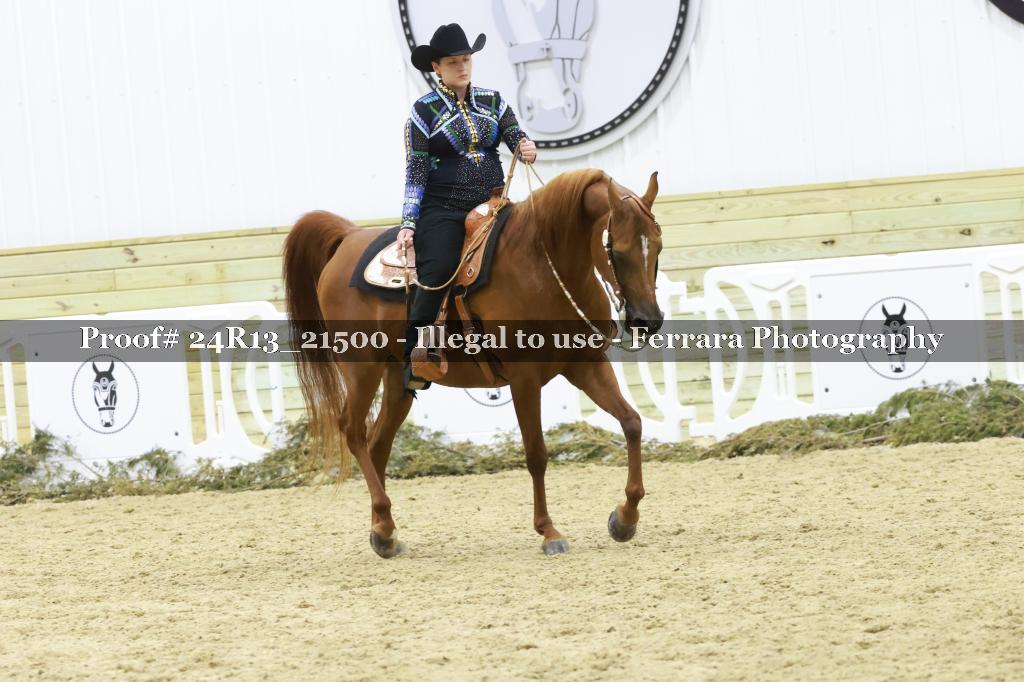 Proof 24R13_21500
