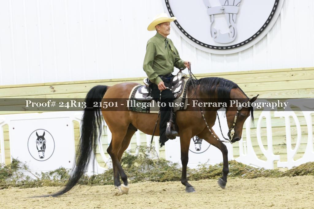 Proof 24R13_21501