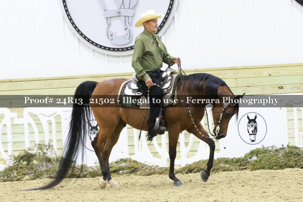 Proof 24R13_21502