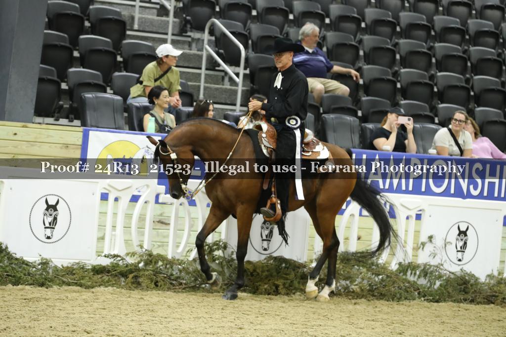 Proof 24R13_21523
