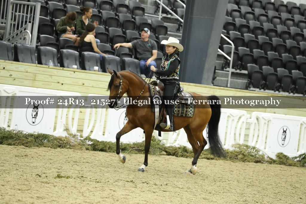 Proof 24R13_21527