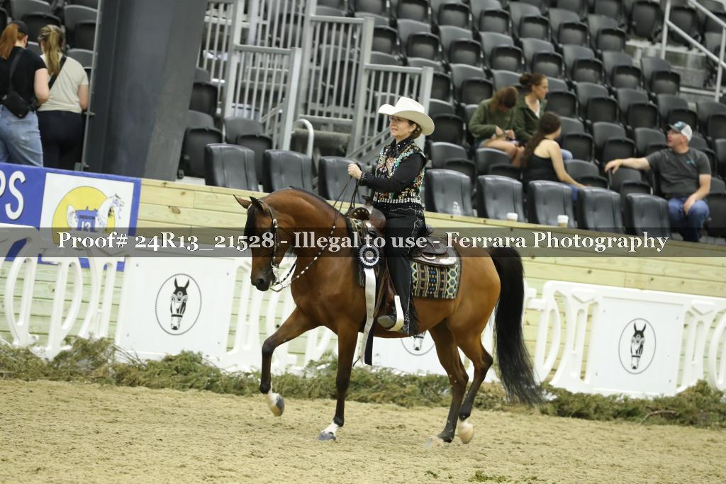 Proof 24R13_21528