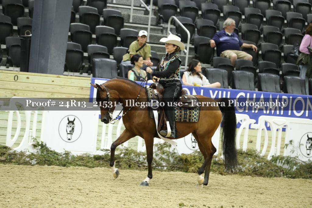 Proof 24R13_21531
