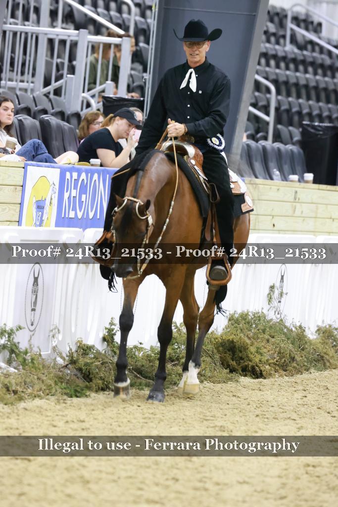 Proof 24R13_21533