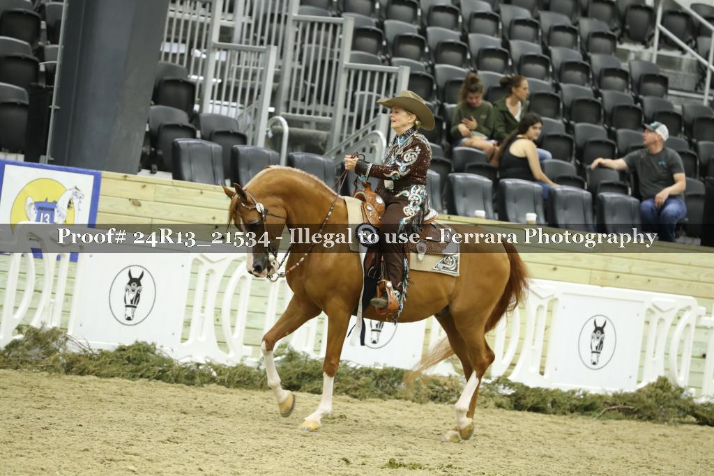 Proof 24R13_21534