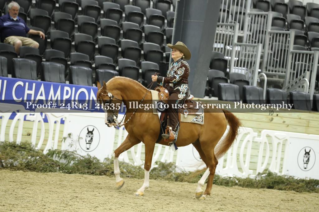 Proof 24R13_21535