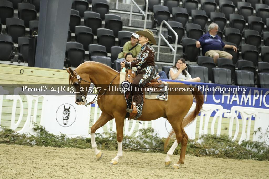 Proof 24R13_21537
