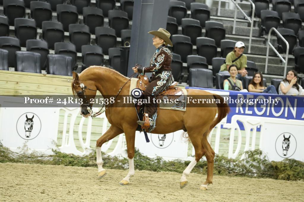 Proof 24R13_21538