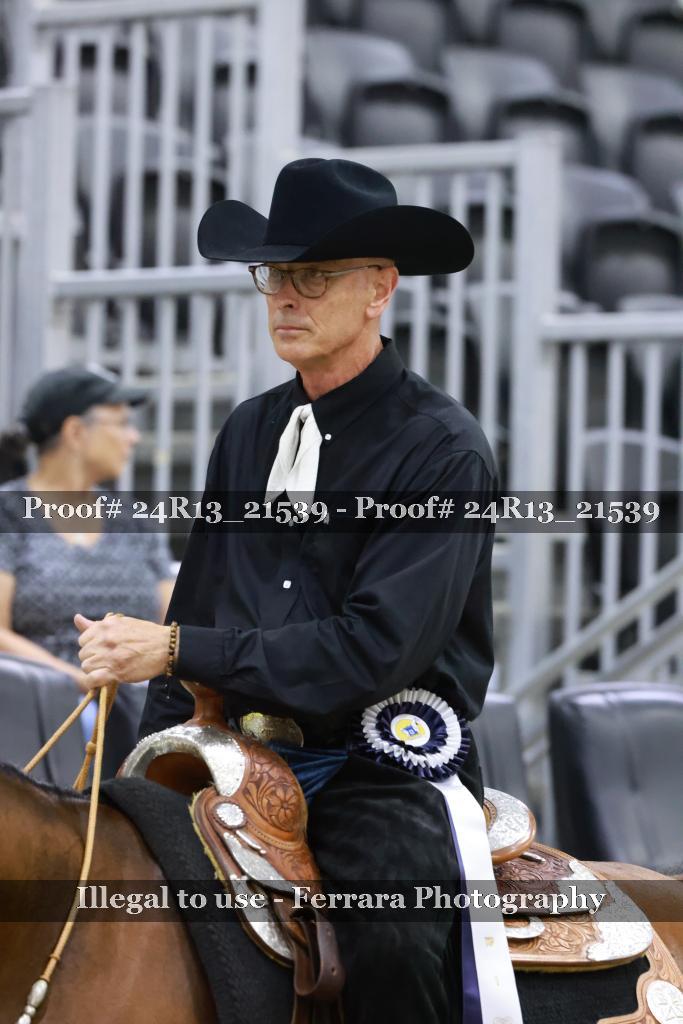 Proof 24R13_21539
