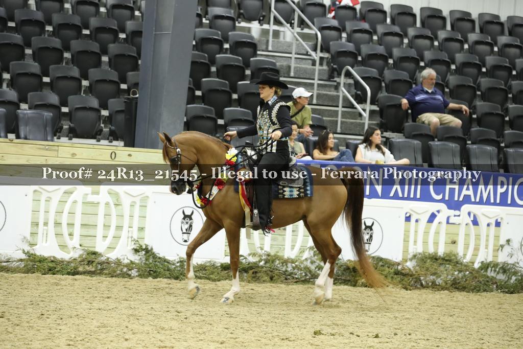 Proof 24R13_21545