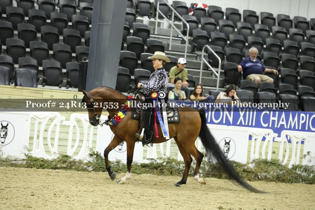 Proof 24R13_21553