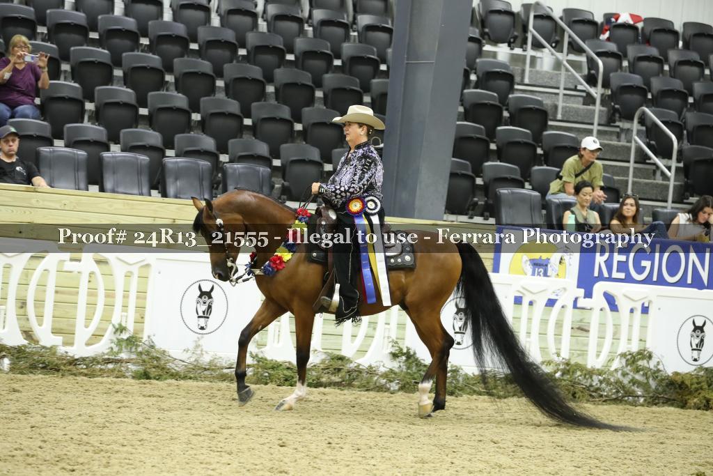 Proof 24R13_21555